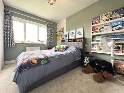 Picture 21